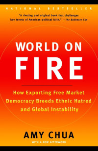 Image of World on Fire: How Exporting Free Market Democracy Breeds Ethnic Hatred and Global Instability